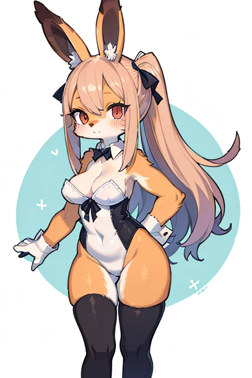leotard