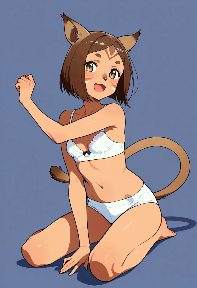 One girl,Cat girl,Animal ears,tail,View your viewers,Anime Style，naked