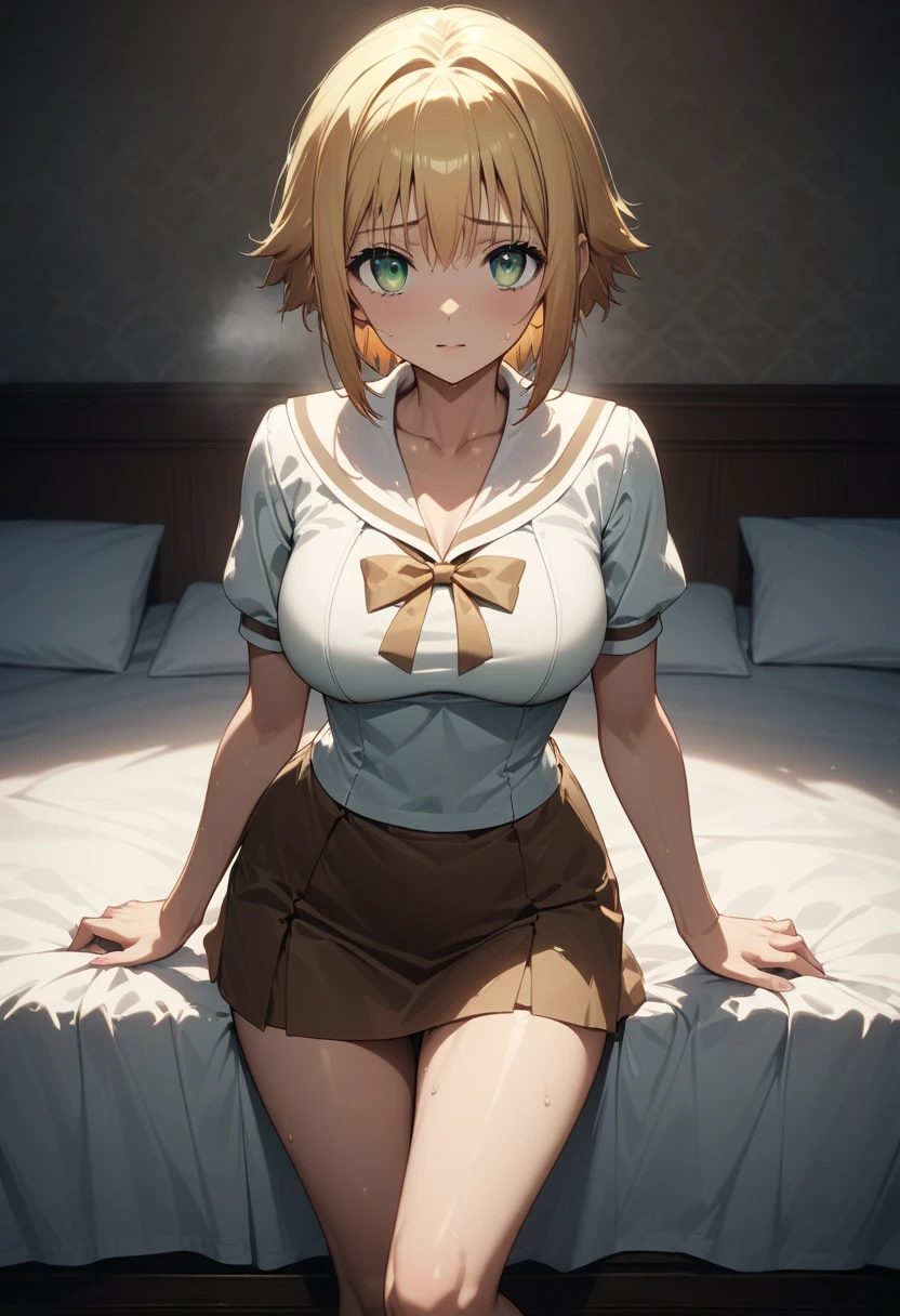 sex, ikumi mito, rear view, having sex, , masterpiece, best quality, 1girl, 1boy, penis, ikumi mito, beautiful woman, blush, luxury motel bedroom, bed, highly detailed, she is very sensually, skirt, shirt, midriff, collar, plaid, plaid skirt, tied shirt, flag print, american flag bikini top, white panties