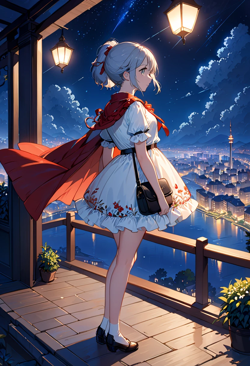 Night Sky, city,   from the side 1 girl ,  is standing, Alone,  full body, , Maribe, fluffy short sleeve ,  Cape, bag