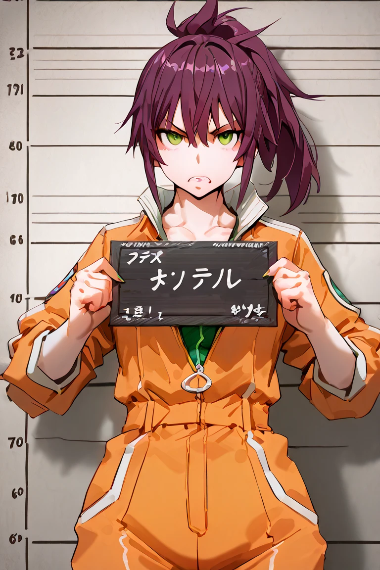  , dramatic lighting, Mugshot standing in front of a background . Front-facing mug shot  ,  anime ,  beautiful face ,  top quality super high ,  detailed chest ,  wicked cunning expression , Dark purple ponytail hair,  haired woman wearing an orange jumpsuit {x} hair showing height, Emerald green eyes ,  Slightly reddish skin  ,  Long and sharp nails , No items on hand