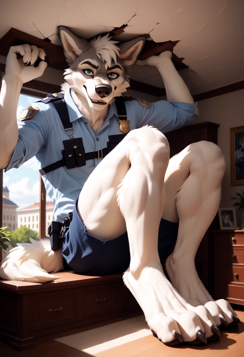 anthro wolf, looking the viewer, police, mansion sitting, leaning back, (back against wall), (hand against ceiling), (knees up), bedroom, (stuck), 