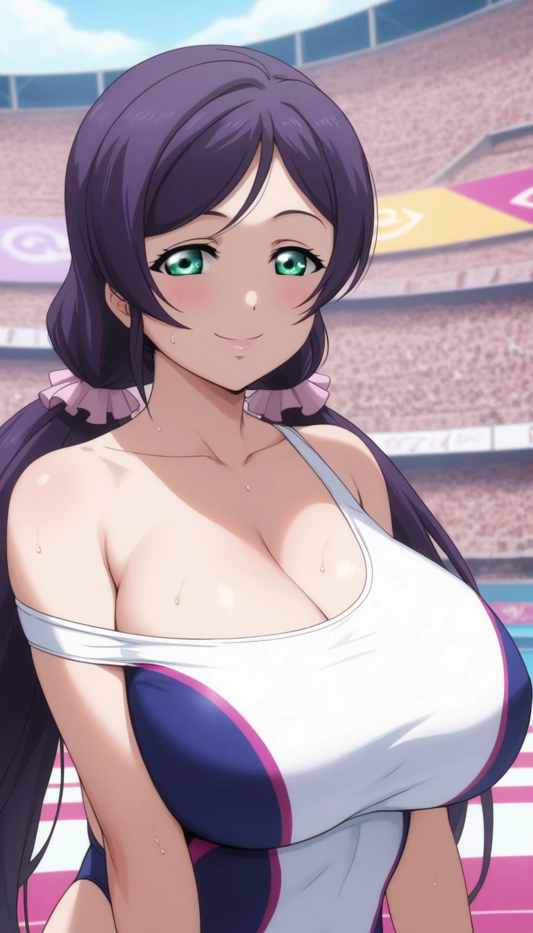 Score 9 score 8 or more score 7 or more,   reviews are questionable,
 detailed background,  glowing skin ,Nozomi-san is always,  green eyes,  purple hair,  Twin Tails, low  Twin Tails, Scrouch,  long hair, huge breasts,  off shoulder , 最 High Quality , Masterpiece Very Detailed ,  High Quality ,  high definition,  one girl,  mature woman,  Low Ponytail ,  beautiful,  beautiful and perfect face, fine grain, smile,   close your mouth, Audience ,  Sweating,   huge breasts , too big chewy boobs ,  big butt,  competitive swimsuit,Curved Body,front,throw,  close-up shot of Aozora ,  from before , whole body,  is standing,  Love Hotel ,  make you fall back in front 