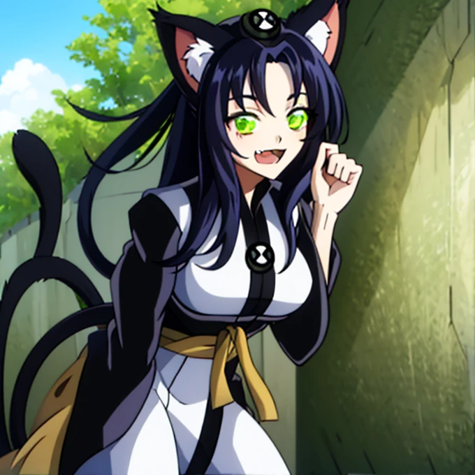  score_9,  score_8_above,   source  _anime BREAK solo , 1 girl,   Looking at the viewer, vaquero disparó, 
Kuroka still , green eyes, slit paboveils,  black hair,  long hair,  animal ears ,  animal ear fluff , cat tail,  cat ears , 2 tails, multiple queues, black Kimono, green Obi, diadema,  curvilinear ,  big breasts, naughty face, smile, :3,  open your mouth, fang,
 outdoor, Sunlight, sanctuary,  East Asian architecture,  light particles , dust, long pants, ben10, insignia