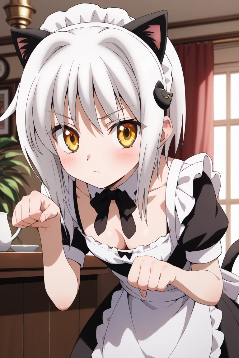 masterpiece,best quality,{{detailed beautiful face and eyes}}, very detailed background,
Koneko Toujou,short hair,white hair,hair ornament,yellow eyes,flat chest,
((maid,cleavage,maid headdress,fake cat ears,cat tails)),
1girl, old,(is embarrassing,big blush,closed mouth:1.0),
((leaning forward,paw pose,looking at viewer:1.2)),
(cafe:1.0),clothed