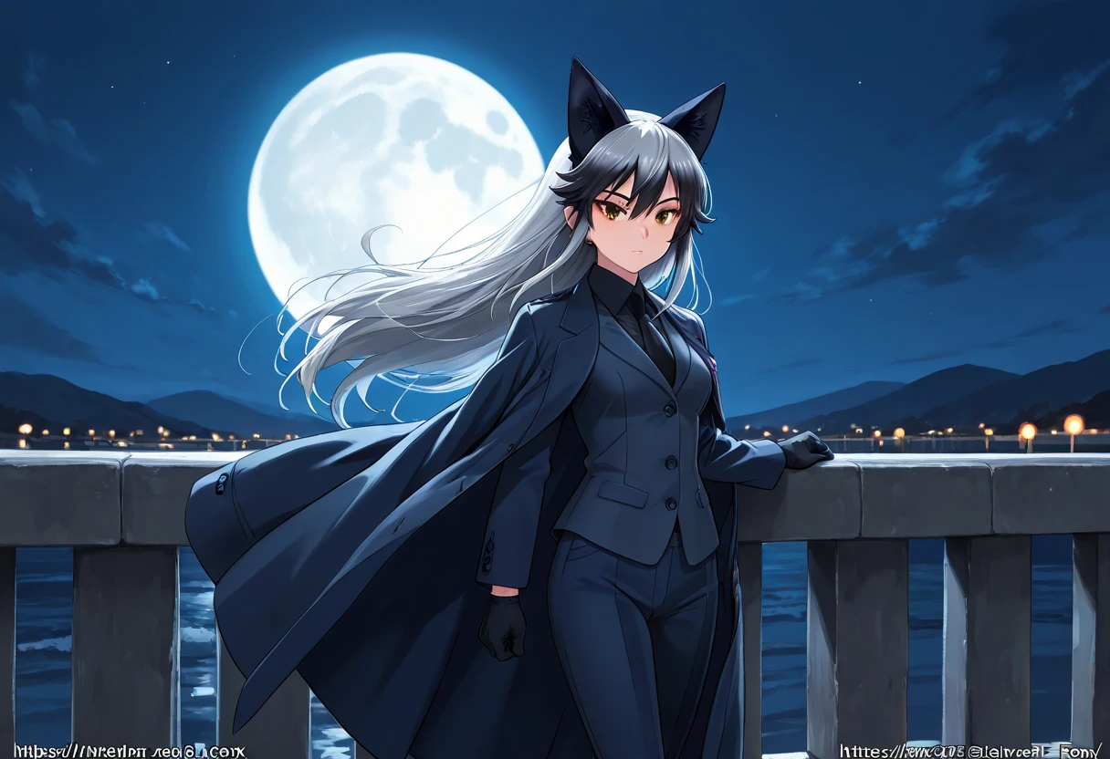 Silver fox, japanese, night