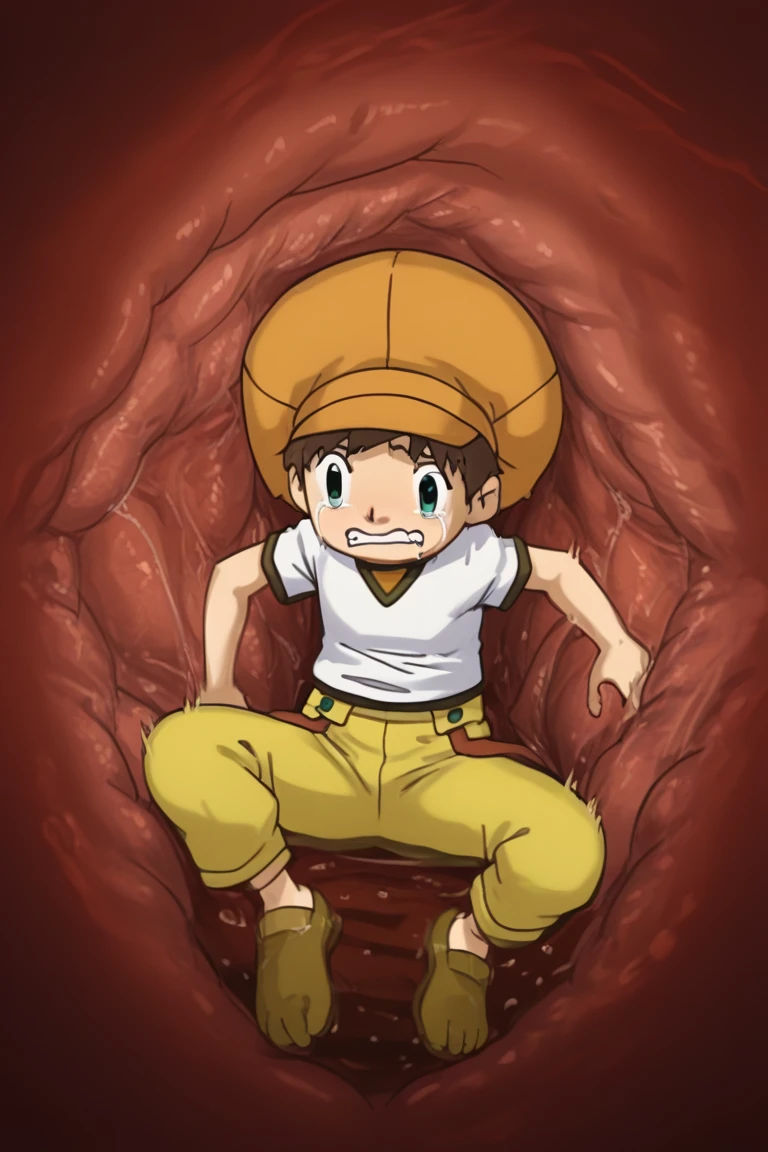 solo_vore_internal, inside stomach, tight space, vore, deep red water, stomach acid, gastric acids, scared face, tears,
score_9, score_8_up, score_7_up, score_6_up, detailed, intricate details, highres, absurdres ,source_anime, 8male focus
tommy himi, brown hair, green eyes, white shirt, 1boy, solo, male focus, hat, yellow pants, shirt, pants, 