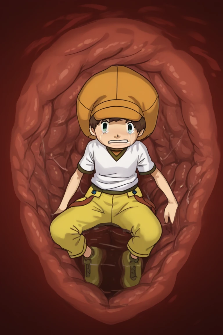 solo_vore_internal, inside stomach, tight space, vore, deep red water, stomach acid, gastric acids, scared face, tears,
score_9, score_8_up, score_7_up, score_6_up, detailed, intricate details, highres, absurdres ,source_anime, 8male focus
tommy himi, brown hair, green eyes, white shirt, 1boy, solo, male focus, hat, yellow pants, shirt, pants, 