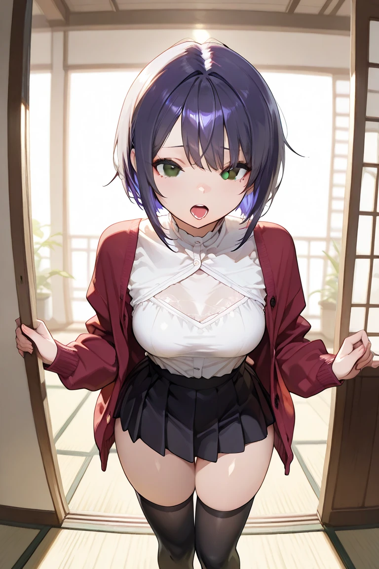 masterpiece, best quality, highres, 1girl <lora:tachibana_rui_no_outfit:1> white shirt, skirt