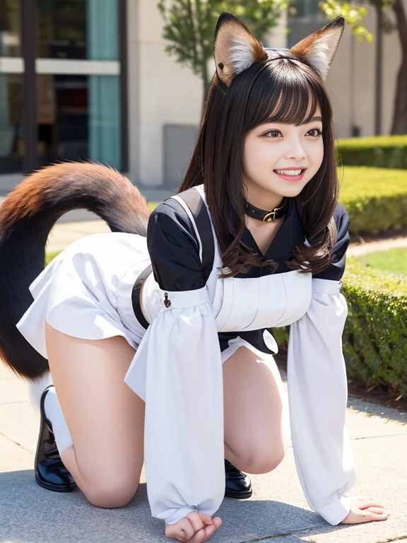 ((best quality)), ((masterpiece)), (detailed), perfect face, fox lady, pretty woman, public, A tail is growing, She has a fluffy tail, She has a fox tail, She wags her tail, troubled face, fur collar, On all fours, Her thighs are thick, Thick thighs, Only one tail