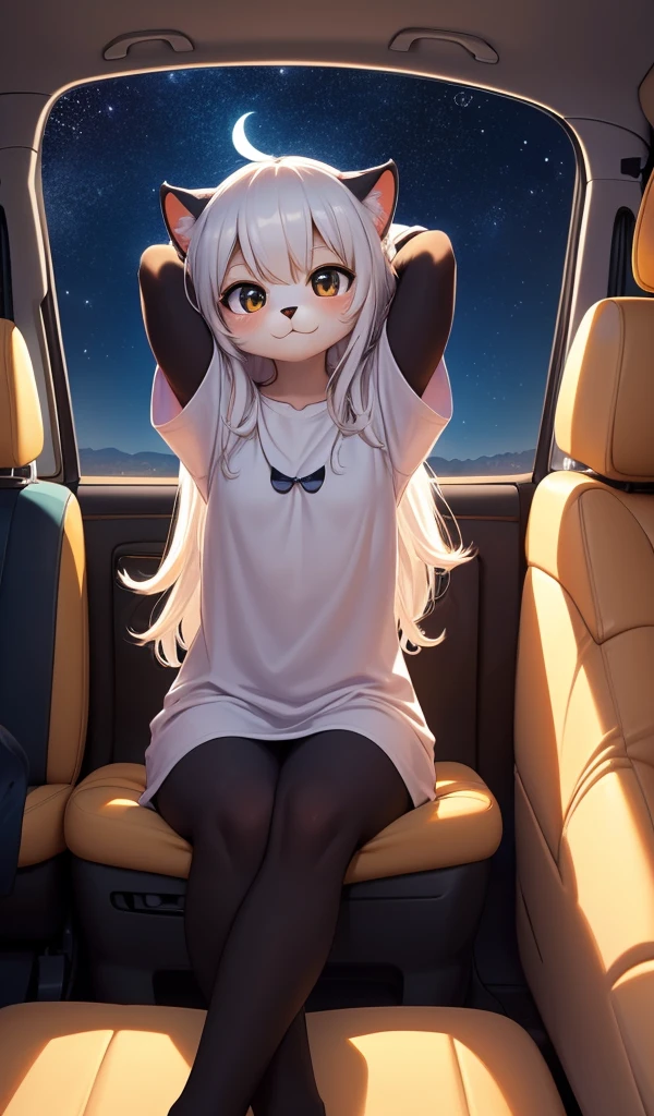 Furry mascot,Lovely image,A black cat,No clothes, Cute little animals fluffy,Furry Fur,Cute little animals,Fluffy tail,White hair,In the back seat,Sitting alone in the car,Reclining in a chair,View from the car window,High speed on,full of lights,Cubs,is in night,nigh sky, stars,Close-up of cute characters,Put your hands behind your head,Look ahead