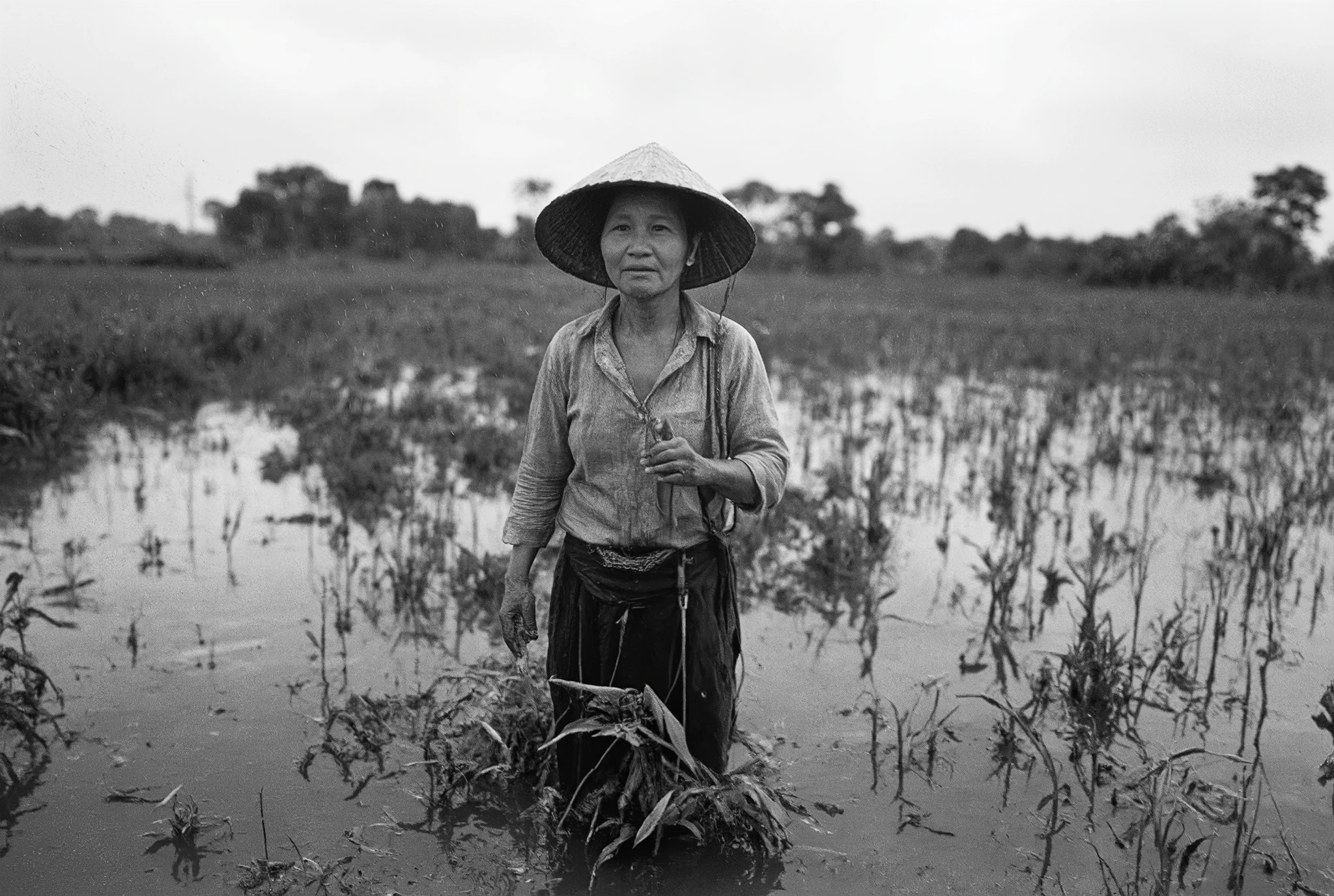 Cinematic shot in black and white, grayscale, ultrawide shot, Vietnamese peasant woman in a vast rice field, aged 50, expressive eyes, detailed fingers, wearing peasant clothes and a typical Vietnamese straw hat, rainy day, monsoon, flooded rice field, feet in the mud, lush vegetation, outdoor photo, natural light, Canon EOS R5 quality, Ilford HP5 400 Plus film, hyper realism, masterpiece --ar 4:5 --v 6 --stylize 500
