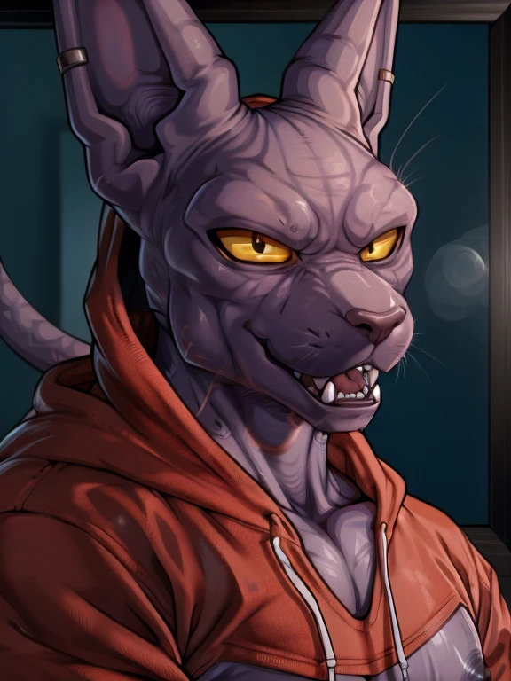 Bills, beerus, Dragon Ball Super, purple cat-like humanoid, the second, skinny, muscular, ABS, (detailed:1.3), prominent pectorals, naked, male, uncut penis, agitated expression sticking out tongue and blushing, sitting spreading his legs showing his anus,  Background of a room