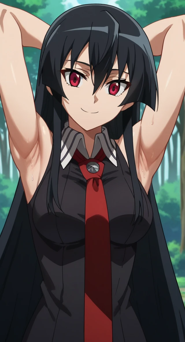 Akame (akame ga kill), calm posture