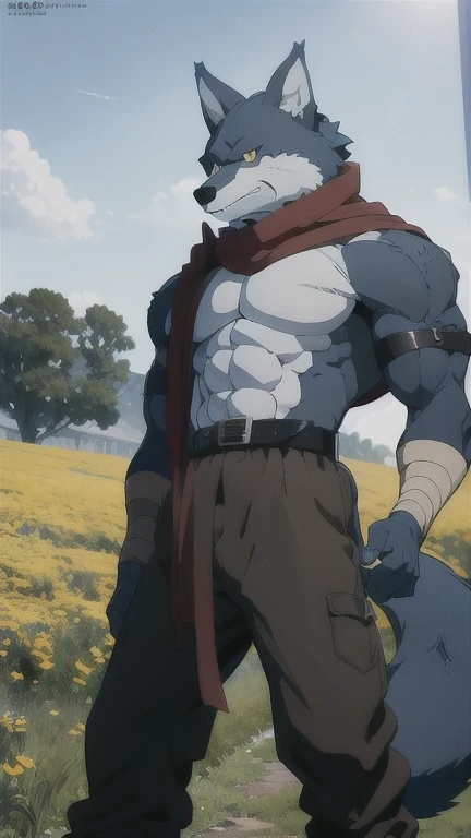 Bergamo _., posing for the camera , Presume. 4k, High resolution, the best quality , published in e621 , Alone, anthropogenic body , man , , man , ( correct muscles , detailed muscles , eyes, broad chest, pectorals, biceped:1.1), correct anatomy , correct proportions, Anatomy of the Taran ,, (white clouds, in a meadow, cielo azul:1.0), (by WFA, por taran fiddler:1.0), (by black:0.8), (clear cell :1.2), cartoon shading, Reliable , strong, (Long wolf tail :1.0), (pantalones, belt:1.1), ( half black :1.2), (Detailed Bergamo _Eyes of .:1.1), pose strong, looking at the camera , scarf, pose strong, bare chest intense colors, yellow eyes , fluffy wolf tail , correct profile posture .