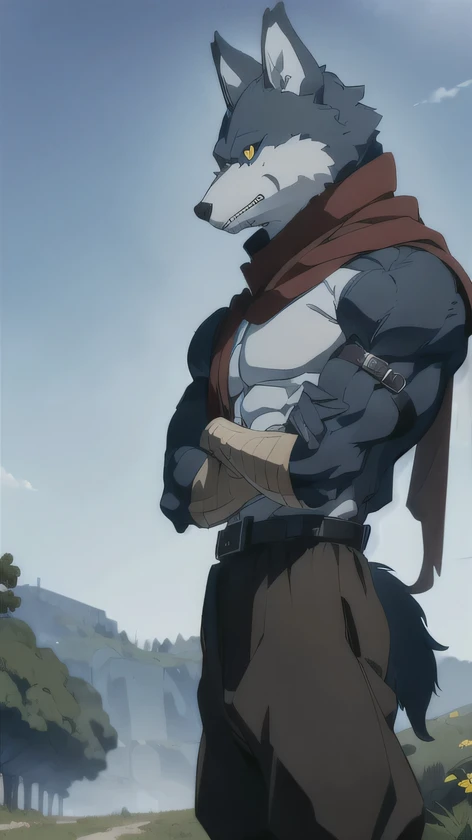 Bergamo _., posing for the camera , Presume. 4k, High resolution, the best quality , published in e621 , Alone, anthropogenic body , man , , man , ( correct muscles , detailed muscles , eyes, broad chest, pectorals, biceped:1.1), correct anatomy , correct proportions, Anatomy of the Taran ,, (white clouds, in a meadow, cielo azul:1.0), (by WFA, por taran fiddler:1.0), (by black:0.8), (clear cell :1.2), cartoon shading, Reliable , strong, (Long wolf tail :1.0), (pantalones, belt:1.1), ( half black :1.2), (Detailed Bergamo _Eyes of .:1.1), pose strong, looking at the camera , scarf, pose strong, bare chest intense colors, yellow eyes , fluffy wolf tail , correct profile posture .