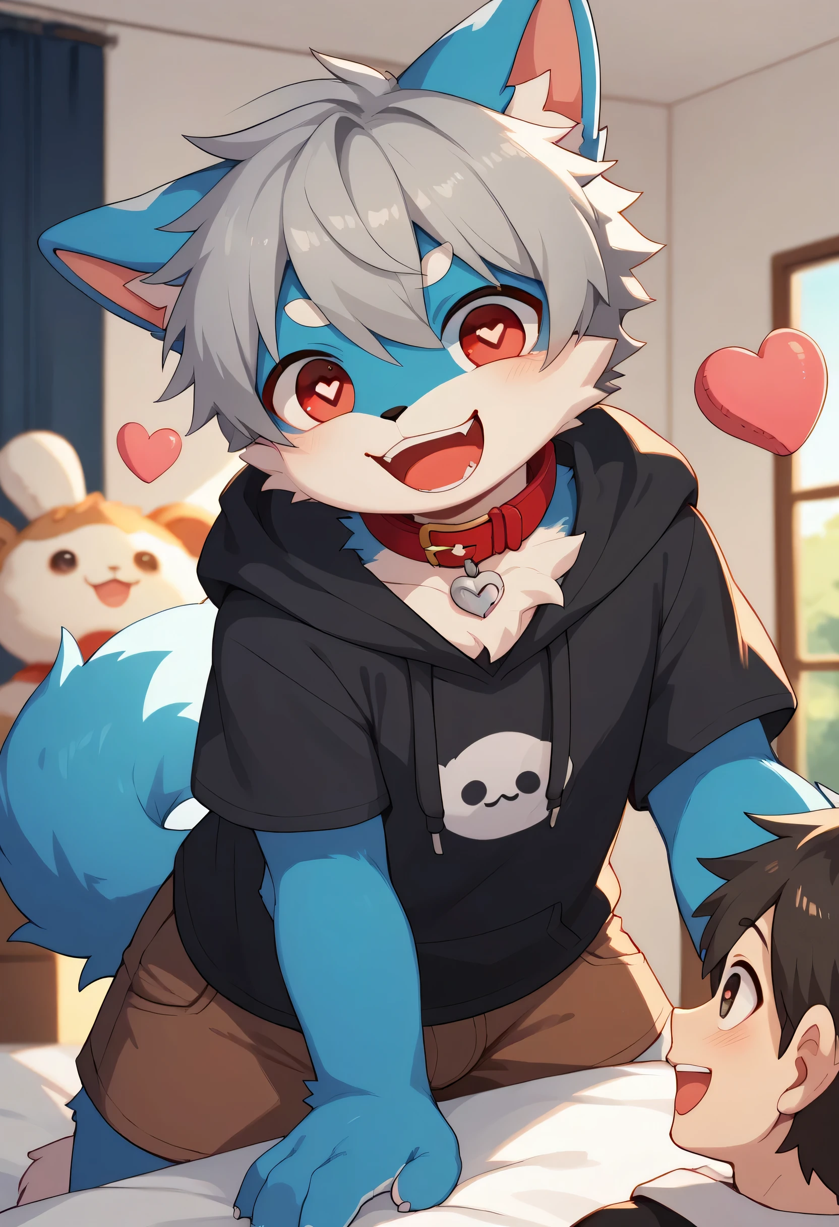 very detailed on trendsな, very detailed on trends, Blue Fur Gray Hair ,,male,骨を見てExcited,Heart Eyes,participate, red collar,male, cute face, fluffy fur like one,Excited,Horny boy,Beautiful room, 's room ,Smiling face,Dropped ears, let's play with toys! my mental age is , bed,Want, brown shorts,black hoodie dress with short sleeves