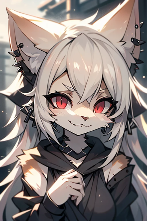 Lemur Loli