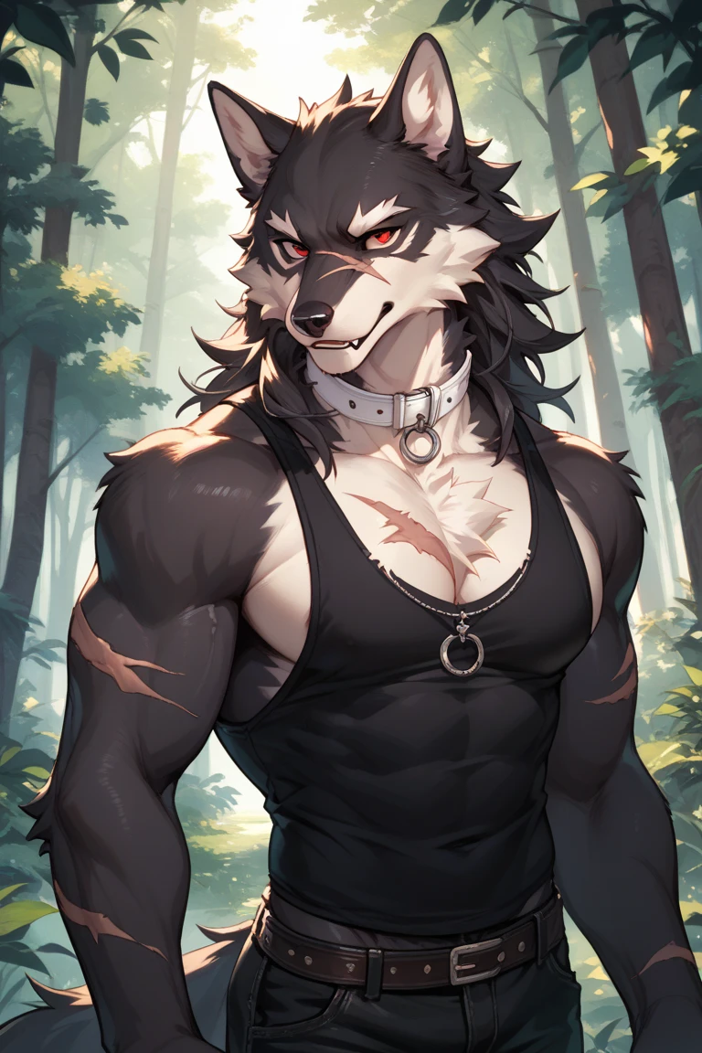 close up, furry, anthro, giant werewolf,wolf ears,wolf tail, dark grey and white fur, messy fur, neck floof, yellow glowing eyes, razor sharp teeth, sabertooth, long sabertooth, muscular body, handsome, monstrous, posing in a forest, daytime, alone, wearing a white baggy tank top, black denim shorts, giant bulge, body covered in scars, pawpads, black pawpads, best quality, 4K, UHD, masterpiece,