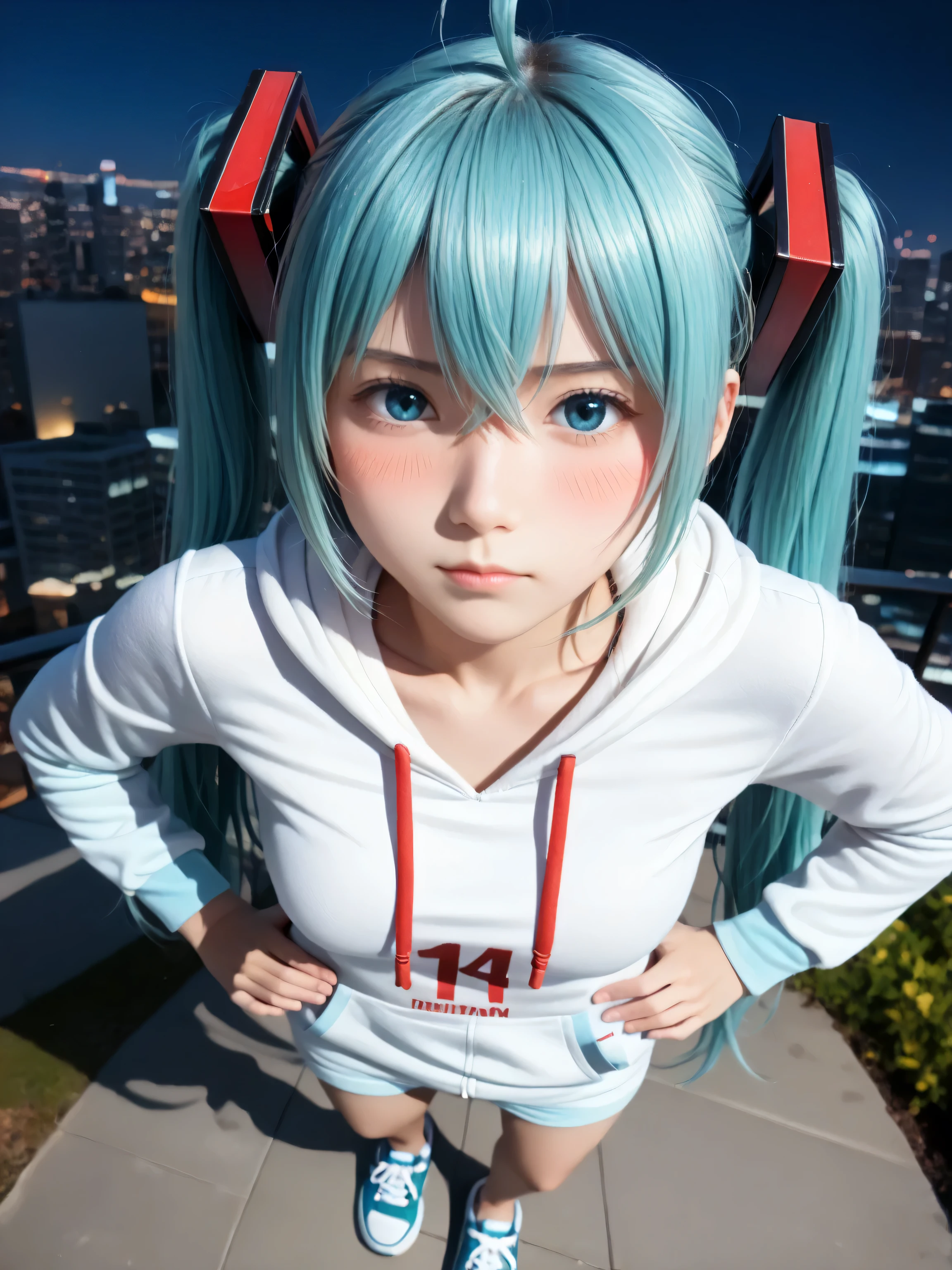 score_9, score_8_up, score_7_up, source_photo, realistic, photo, (((masterpiece, best quality))), ((((best quality, realistic, photo-realistic)))), ((((photorealistic)))), (((((19 years old))))), 1girl, mikuhatsune, miku hatsune, ahoge, ((((aqua eyes)))), ((((aqua hair)))), (((crossed bangs))), ((hair between eyes)), (((hair ornament))), headphones, long hair, ((((twintails)))), ((((mature female)))), ((((depth of field)))), blurry background, Detailed face, ((((medium breasts)))), big breasts, ((solo)), busty, ((1girl)), beautiful breasts, beautiful ass, shiny skin, ((((sharp focus)))), perfect hands, ((((outdoors)))), ((((simple background)))), (((((night))))), dutch angle, cowboy shot, dynamic angle, cute face, (pretty sister), ((pretty)), ((ultra-detailed)), ((an extremely delicate and beautiful)), Beautiful eyes, (((big eyes:1.5))), (((sensual vibe))), ((((feeling pleasure)))), ((((ideal body)))), ((((energetic)))), ((perfect fingers)), (((realistic:1.4))), (((((sexy pose))))), (((((seductive pose))))), (((((expressionless))))), (((((blushing))))), ((((full body))))), (((((cityscape))))), rooftop, city, (((((standing))))), (((((hands on hips))))), (((((pout))))), looking at viewer, blush, (((((from above))))), (((((hoodie))))), oversized clothes, (((((bottomless))))), (((((bottom less)))))