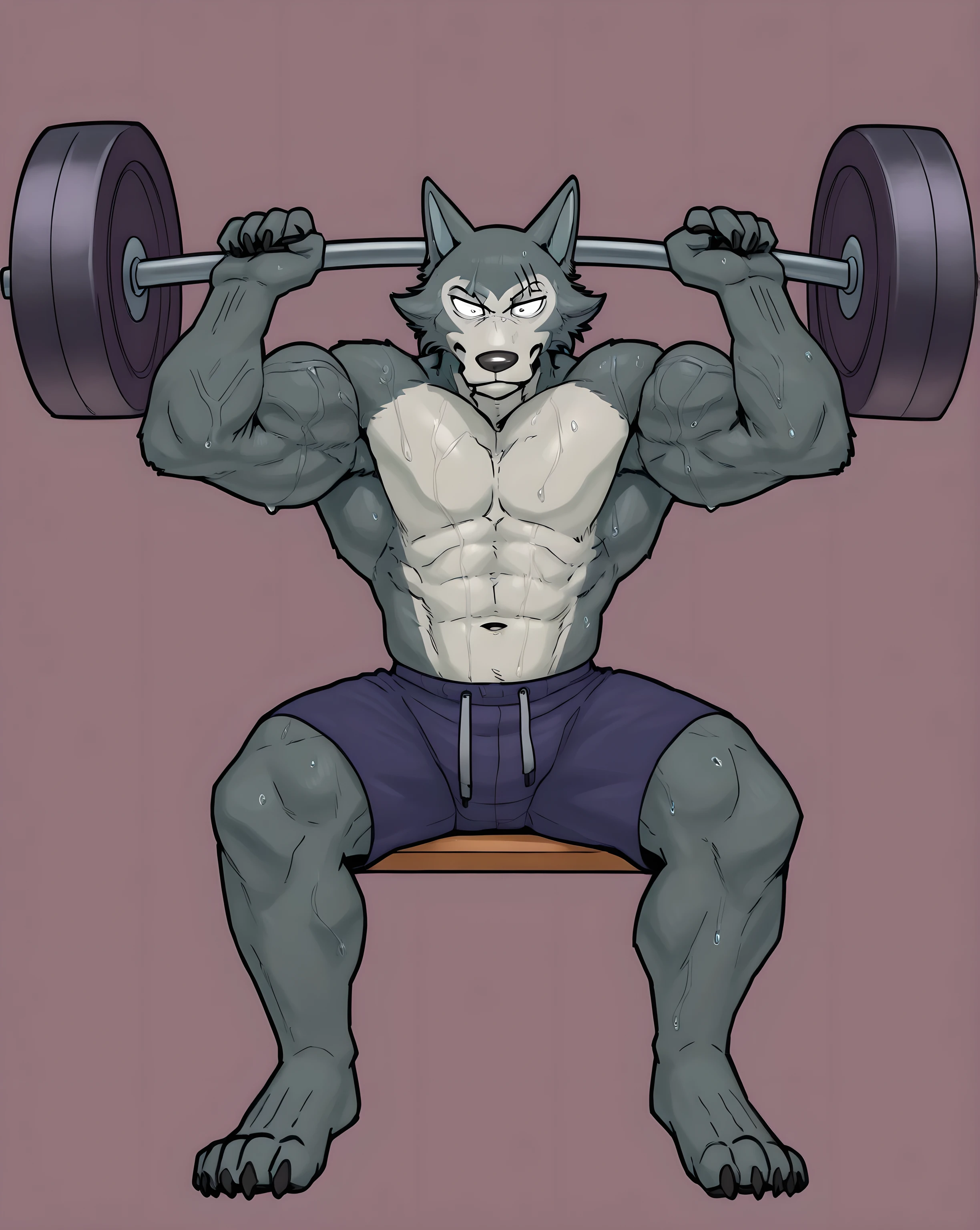 l3gosh1, beastars, male, solo, wolf, muscular, masculine, simple background, very sweaty body, sitting on workout_bench, lifting weights, bulging biceps, veiny biceps, working out, shorts, angry face, looking at dumbell
