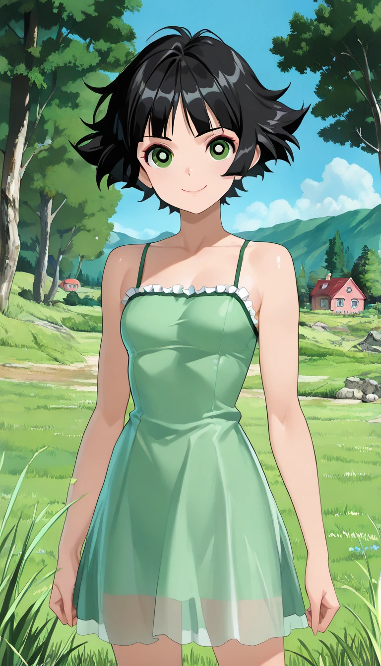(1girl, solo, highly insanely detailed, masterpiece, top quality, best quality, highres, 4k, 8k, RAW photo),((innocent look)),((Childish)),From the front, symmetrical composition,smile,cute,Innocent,Kind eyes,Flat chest,Hairless vagina,Gunsmith Cats Style,forest, (buttercup), (black hair, green eyes, short hair, messy hair)
(dress, light-green sleeveless dress, simple black belt, white thighhighs)