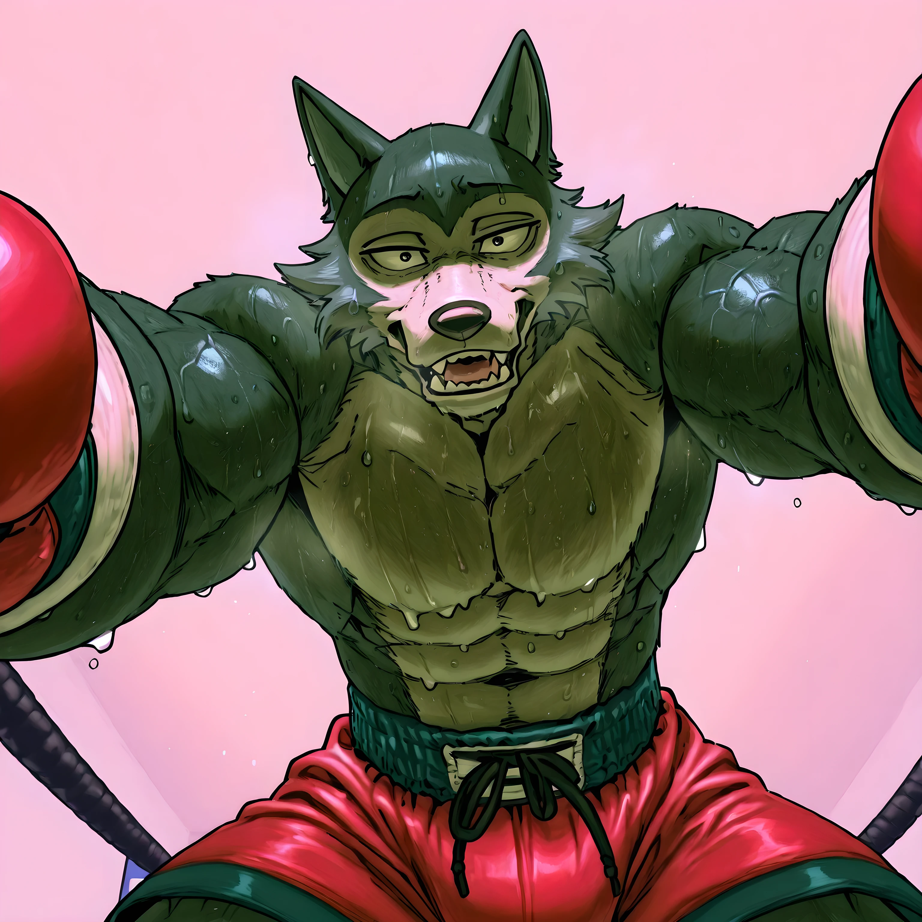 l3gosh1, beastars, male, solo, wolf, muscular, athletic, masculine, (small eyes), boxing_gloves, sweaty body, veiny arms, boxing_shorts, half body, glistening body, boxing_pov, boxing ring, exhausted, open mouth, steam, drool, (low-angle shot), looking at viewer,