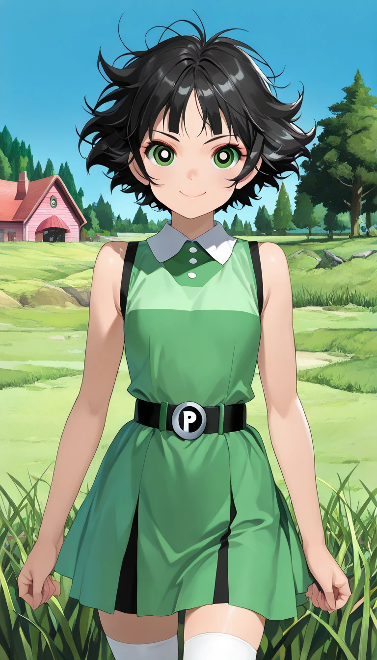 (1girl, solo, highly insanely detailed, masterpiece, top quality, best quality, highres, 4k, 8k, RAW photo),((innocent look)),((Childish)),From the front, symmetrical composition,smile,cute,Innocent,Kind eyes,Flat chest,Hairless vagina,Osamu Tezuka style,forest, (buttercup), (black hair, green eyes, short hair, messy hair)
(dress, light-green sleeveless dress, simple black belt, white thighhighs)