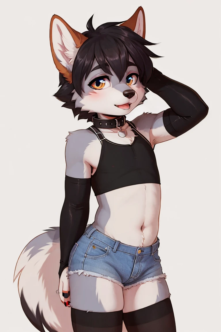 ((SFW)) ((18, cute, furry, Australian Shepherd dog boy femboy wearing a collar, black panties with a bulge, and black thigh-high socks, best quality)) ((hands behind head))