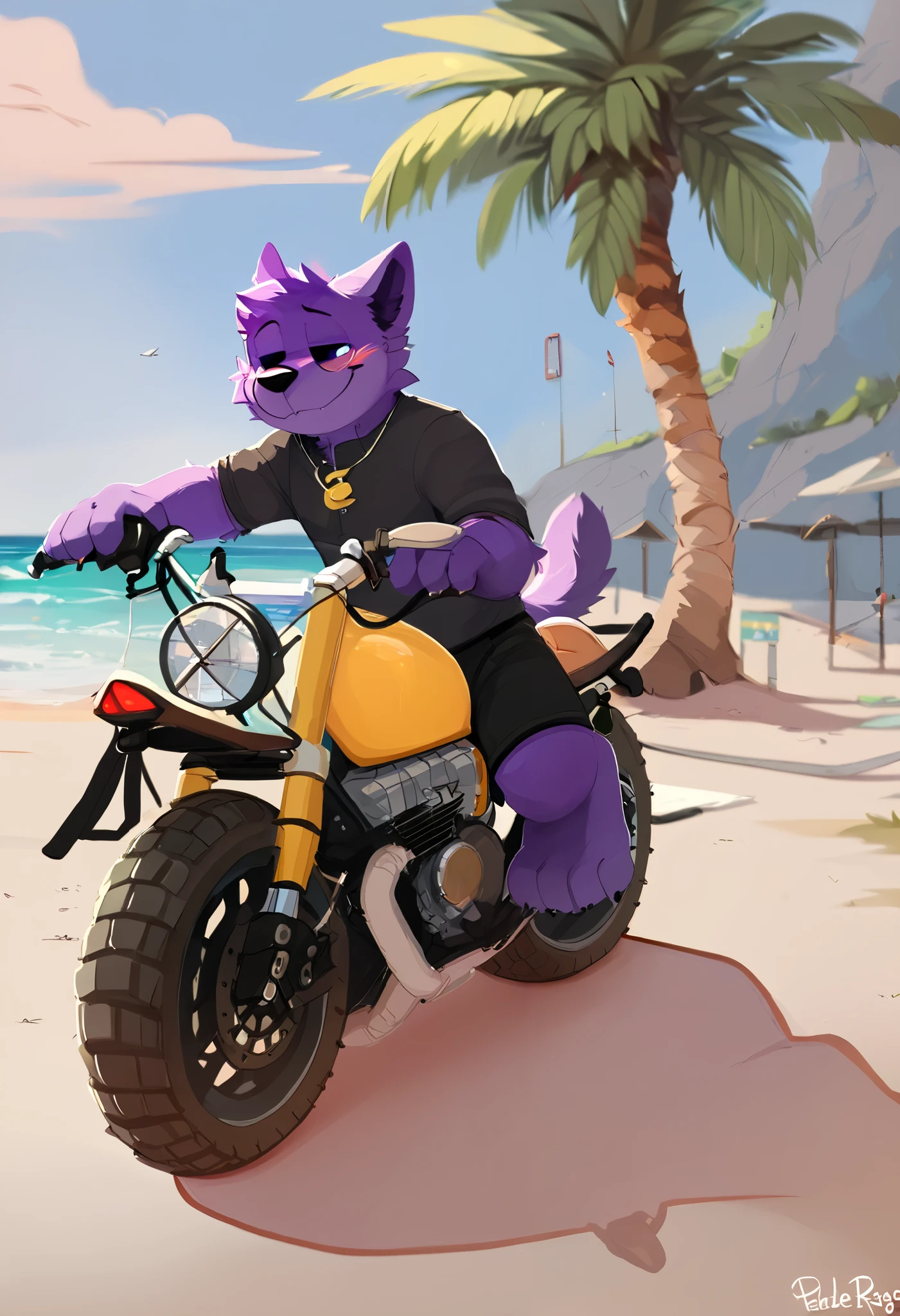 solo:1 vortex:0.8, CatNap, feline, masculine:1.2, male, (correct anatomy):1, solo, bare paws, (by Pache riggs, by seth-iova, by donkeyramen, by oselotti), realistic, black shorts, black sports motorcycle from the 1990s, sitting on a motorcycle in a beach, detailed, corrected