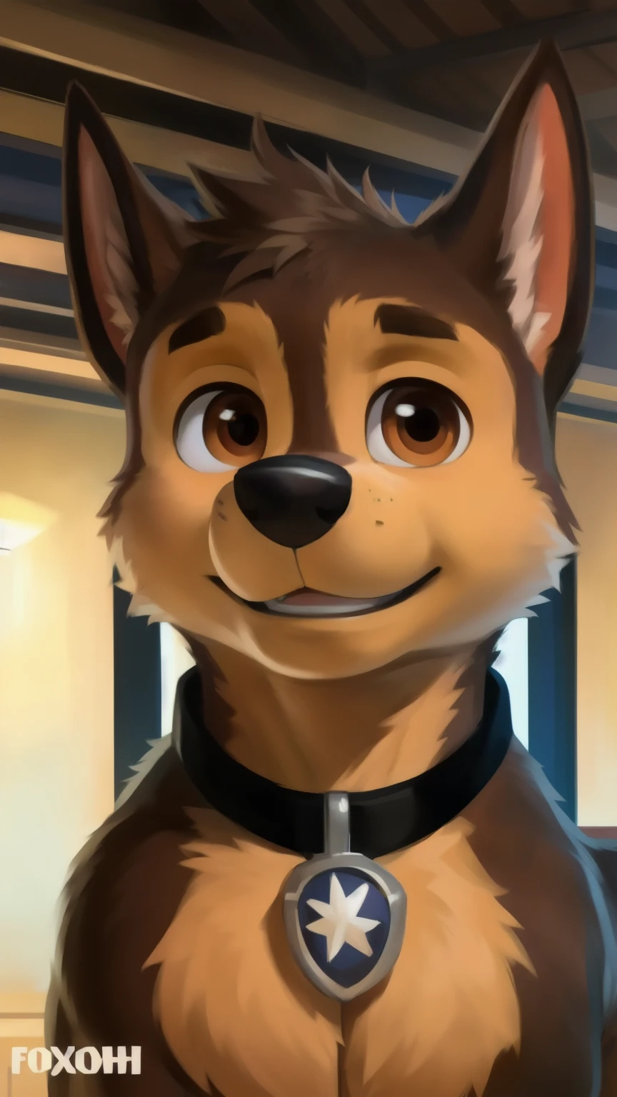 Chase smirks., showing your body to the viewer from the viewer's point of view, detailed fluffy fur texture, impasto impressionism , (by foxovh, Ross Tran, Mikhail Garmash , Pino Daeni, A SPARK), detailed eyes , highly detailed pupils , One, fluffy, antro, chase-pp, domestic dog, male, brown eye , brown wool , light brown body, fur body, detailed fluffy fur texture, curved, 1 boy , muscular, detailed muscles, large and large pectoral muscles