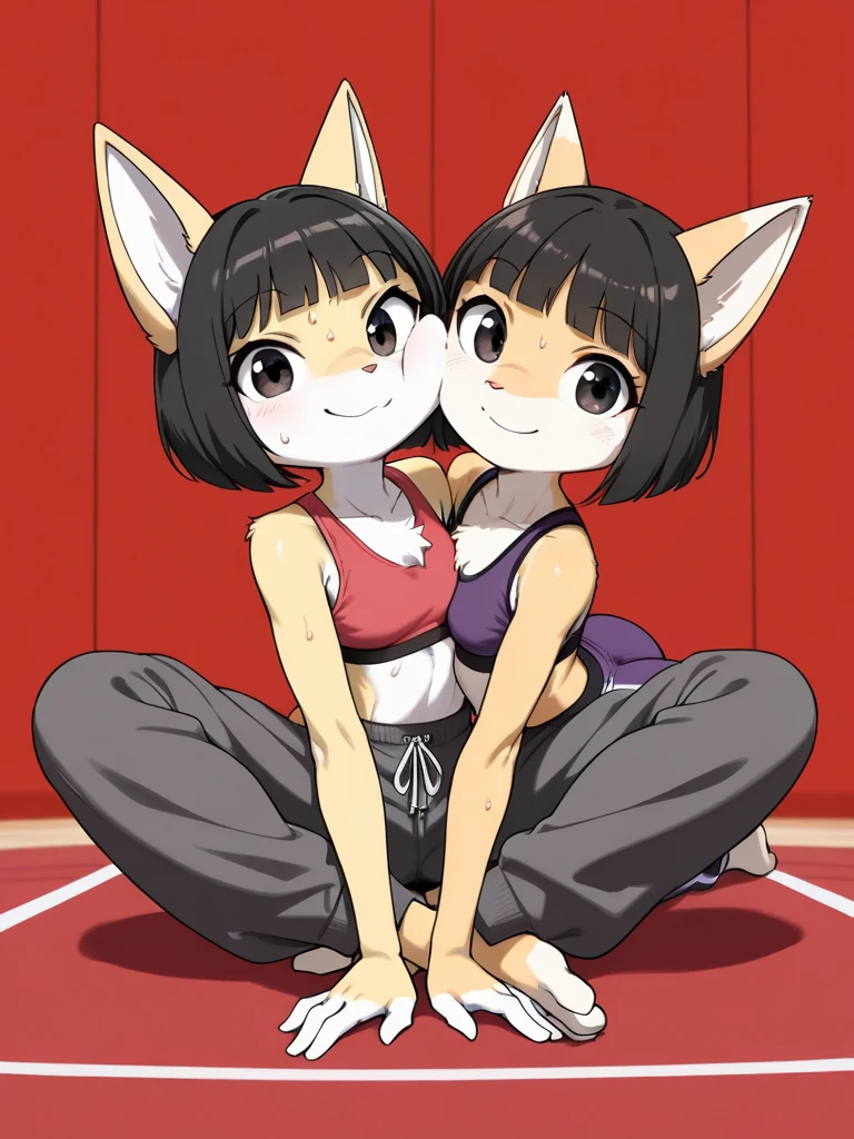(highest quality, masterpiece, High resolution)、(anime art)、19 years old, large breasts, triple D cup breasts, round buttocks, bubbly buttocks, wide hips, bubbly ass, fit and strong, slender body,、soft light、two girls、black hair、Black cat costume、White Cat Costume、Tabby cat costume、Striped cat costume、Persian Cat Costume、(3-color cat costume)、(loose t-shirt)、loose shirt、off shoulder、sexy mini dress、(Cat ear)、bob cut、semi-long、bun hair、hair ornaments、choker、Cute face details、enchanting smile、small breasts、whole body、(cat pose)、((crawl on all fours))、beckoning、playing、dance、Cat jarashi、Crackers popping、 Decoration、((white background))、