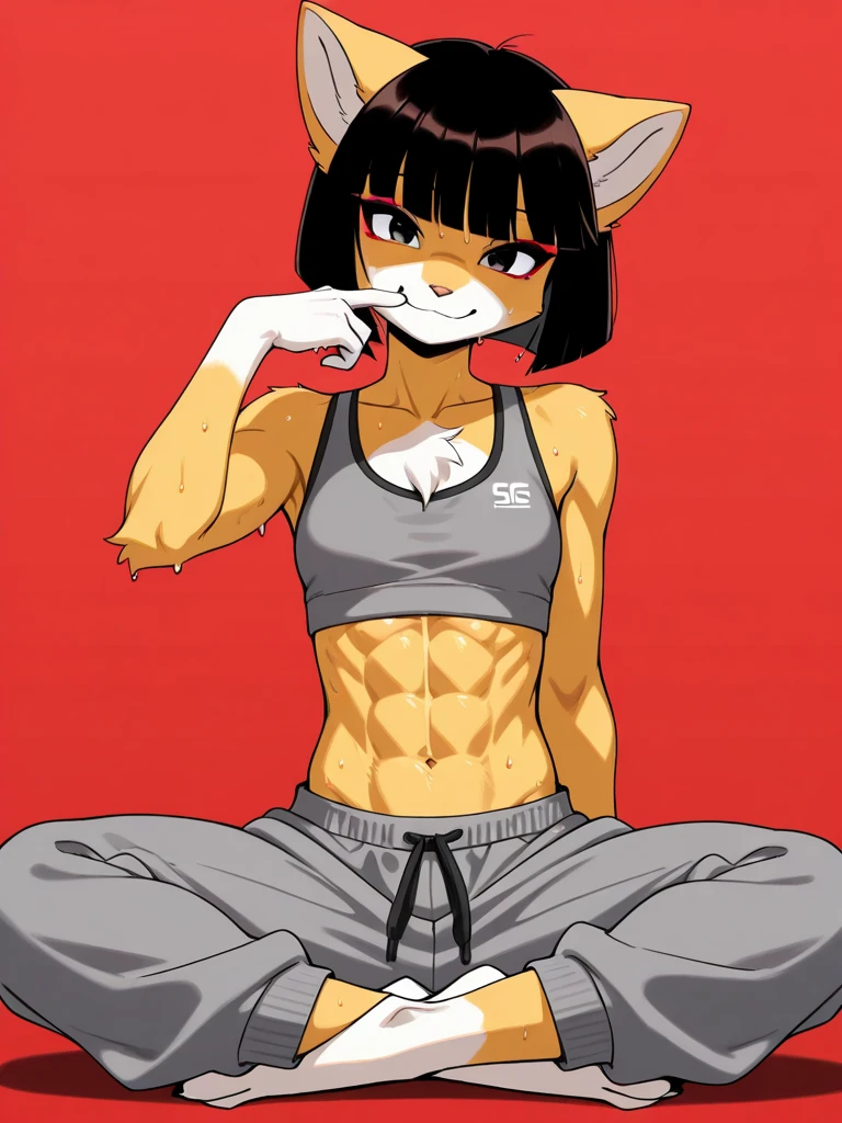 Warrior Cat,super strong,well structured