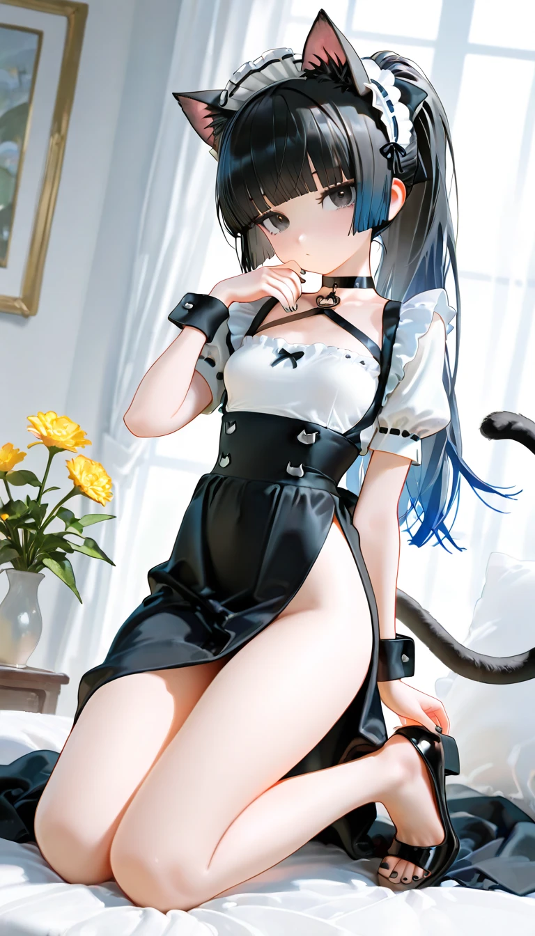 Very huge cat、Cat standing up on both legs、A cat as ferocious as a bear、Cat looking at the viewer、A cat licking its tongue、
