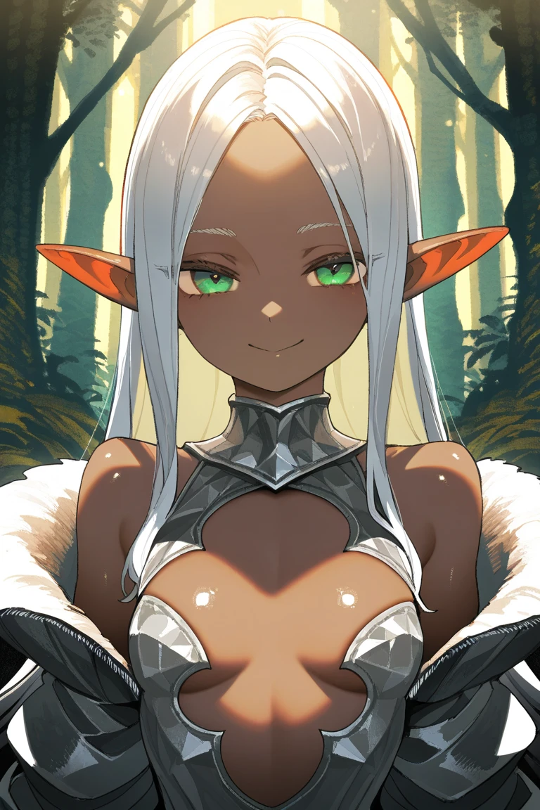 (((I want an elf woman with dark skin, long white hair and detailed green eyes, with full breasts and a beautiful body, Wearing silver armor and holding a sword)))