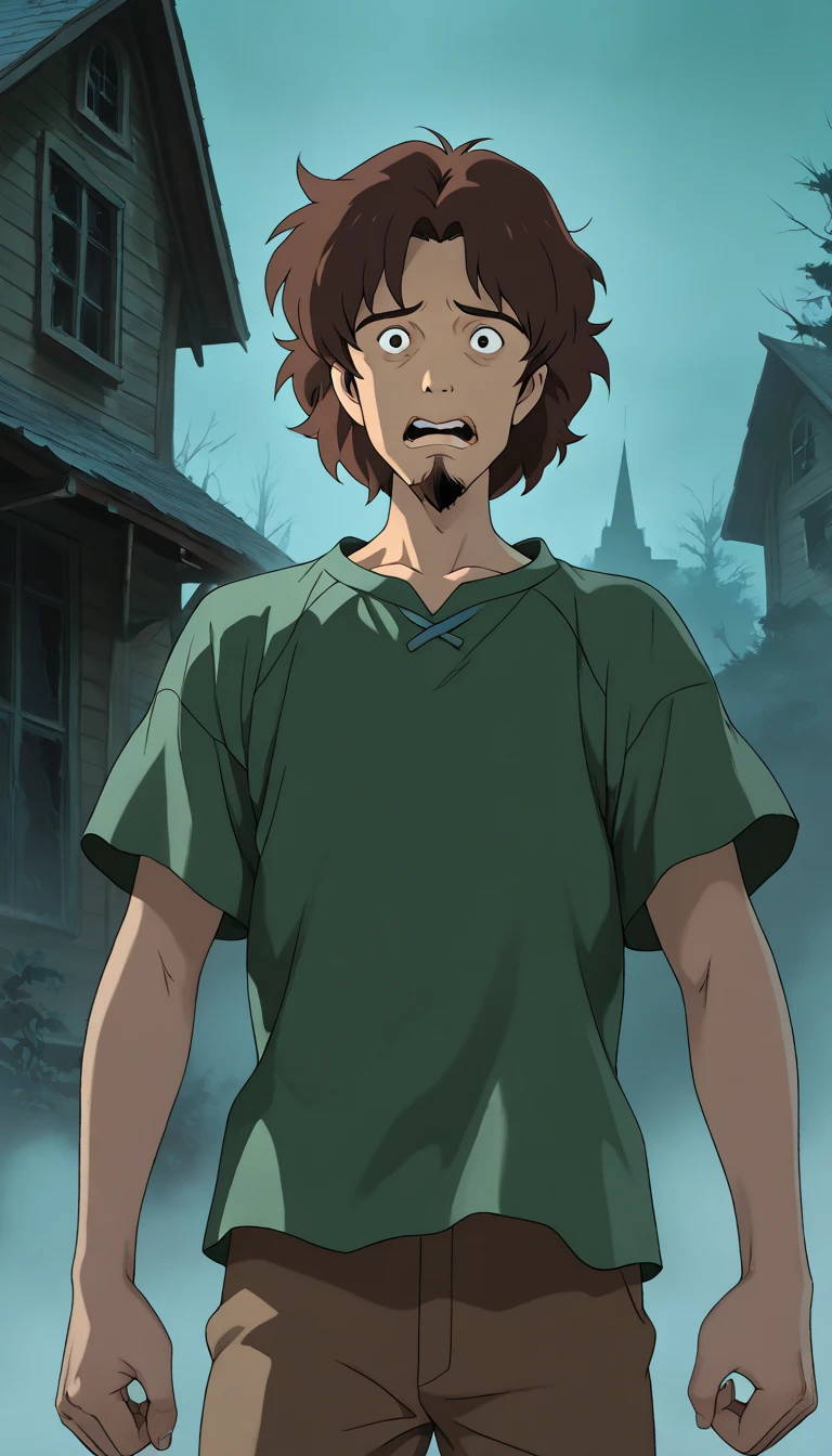 (1boy, solo, WhatsNewShaggy), (extremely detailed CG unit 8k wallpaper),(master part), (best quality), (ultra detail), (best illustration),(ghibli_style), cowboy shot, close up, standing, facing viewer, looking at viewer, perfect face, perfect eyes, perfect fingers, (Sharp eyeliner, ombre, detailed eyes:1), traditional media, ghibli landscapes, scenery, outdoors, haunted house, dark, horror, fog, break , upper body, solo, scared, (goatee, brown hair, brown pants, green tee shirt), score_9, score_8_up, score_7_up, source_cartoon,