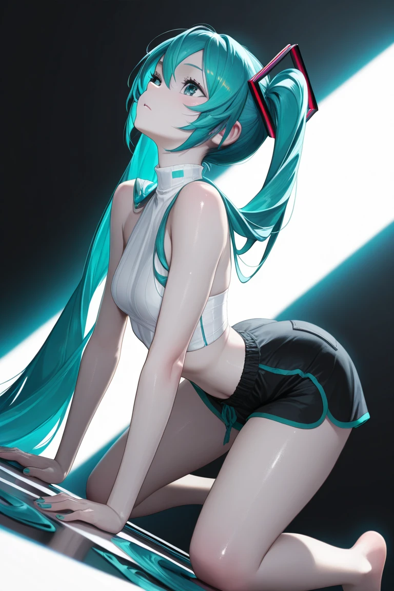 hatsune miku,uncensored, to be ashamed, no panties,vagina,  close-up,vibrator，Masturbation，Dildo，open legs，Squat down，Creampie，Sectional view，Endoscopy，Uterus