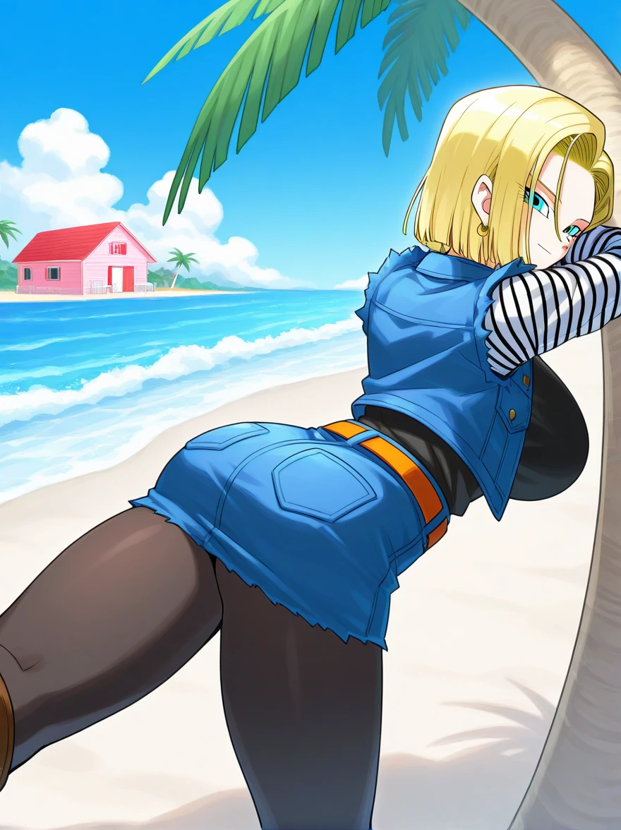 mirko from my hero academia, huge breasts, thin waist, wide hips, huge ass, thick ass, thick thighs, thongkini, bikini, biting lip, highly detailed, oiled up, beach, feet, back view, massive cock, cowgirl,