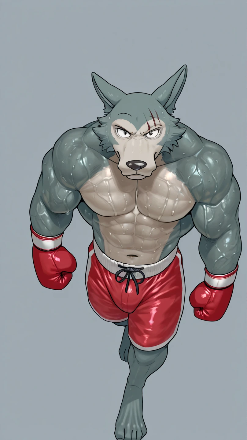 mr wolf. 4k, high resolution, best quality, detailed, posted on e621, solo, anthro body, older male, masculine:1, male, very masculine, muscular, (correct anatomy):1, (bare torso:1.1), (boxing trunks:1.1), (detailed boxing gloves, correct boxing gloves:1.1), correct anatomy, (detailed eyes:1.2), sexy, (cel shaded:1.2), cartoony shading, (watercolors:1.2), strong shadows, confident, (vascular, veins:1.1), boxing pose, (by takemoto arashi, by meesh, by Taran Fiddler, by wfa),