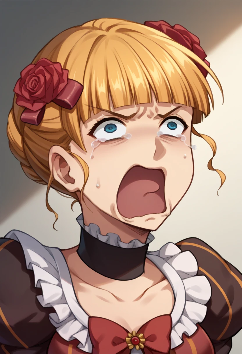 score_9, score_8_up, score_7_up, score_6_up, source anime, score_4, score_5, 1girl, blonde hair, woman, medieval housewife, looking at viewer, blue eyes, white blouse, brown corset, braid, flower necklace, close-up, portrait, looking up, from above, open mouth, drooling, oral invitation, saliva, sweat, tongue, tongue out, naughty face, blush, bruised, wounded, injured, bleeding, severe wounds, cut flesh, injured flesh, , , elementary schooler, 9 year old, extremely young, very young, hellsing, seras victoria