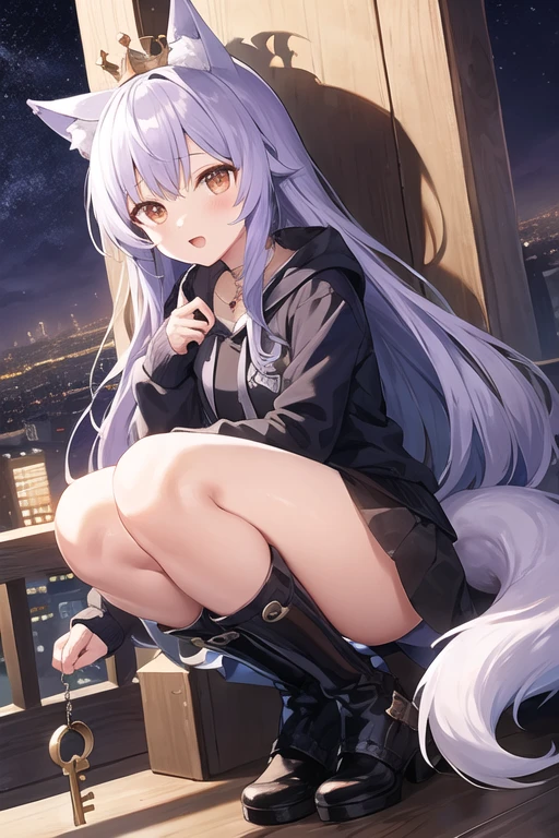 ((anthro female)), ((cute)), ((young)), ((petite)), (flat), ((furry)), ((wolf)), (fluffy), wearing a black hoodie and a black skirt sitting on the ledge of a roof with her legs spread, smile, suggestive, pink panties, city, night, (masterpiece), best quality, warm lighting, looking at viewer