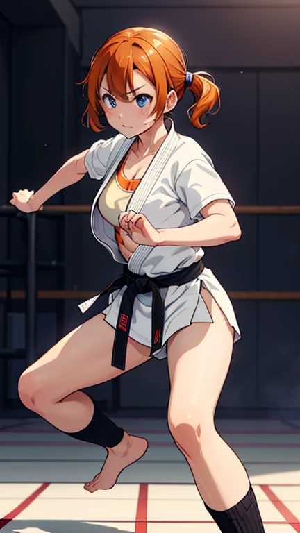 (masterpiece, Highest quality, detailed), One girl, alone, View your viewers, Briar, Pink Hair, Red eyes, Twin tails、Bunny ears、
Daugi, School gym, Fisheye Lens, Combat Stance, Standing on one leg, Kick, Lift your legs, Mouth closed, Severe
