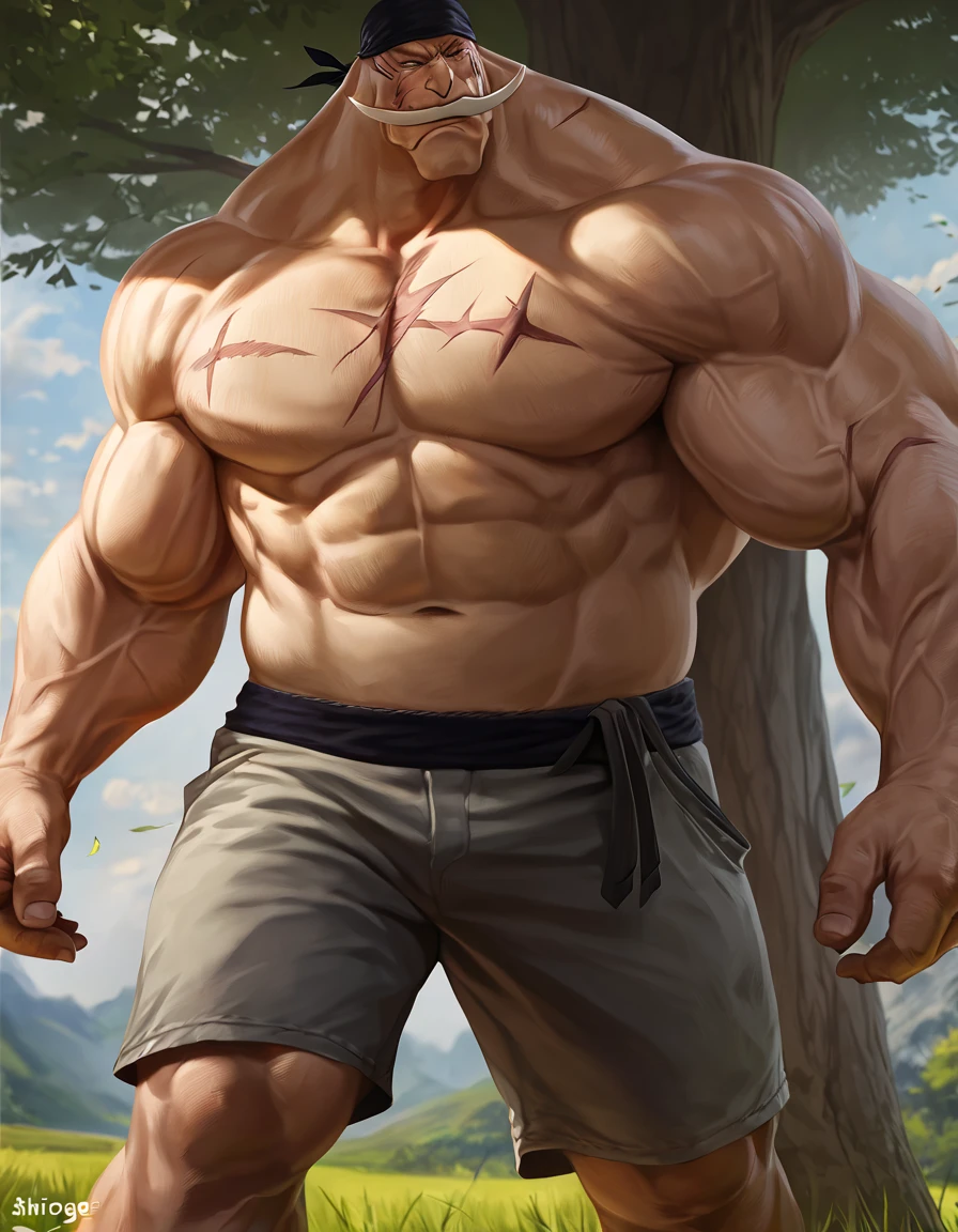 a male elf, eyes, pointy ears, erected, FAT stomach, dominant, head up, strong and fleshy upper body, lines of movement. ultra detailed, shorts, belly button