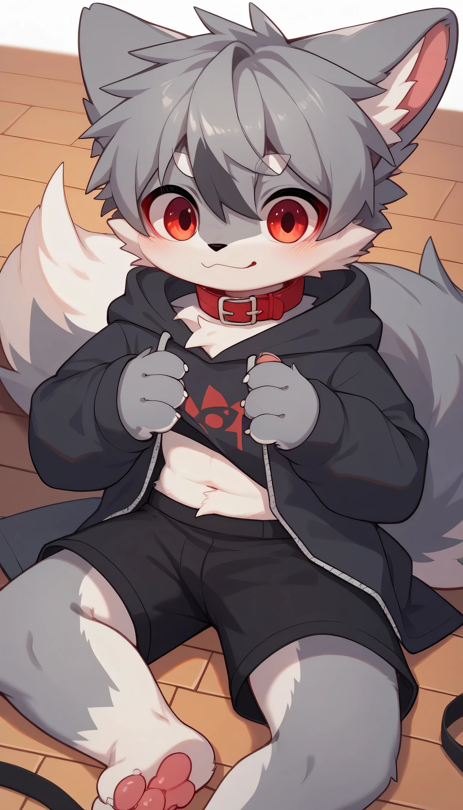   in great detail having fun in great detail,gray hair and gray fur , gray wolf , shemono,,Participation, red collar on the floor,  cute face,  fluffy fur ,The three cute furries dance ！Horny boy , white background ,  embarrassed face,cute grey fur fur , estrus, droopy ears, alone, black shorts  ,  sweatshirt ,  Long Sleeve ,trend,