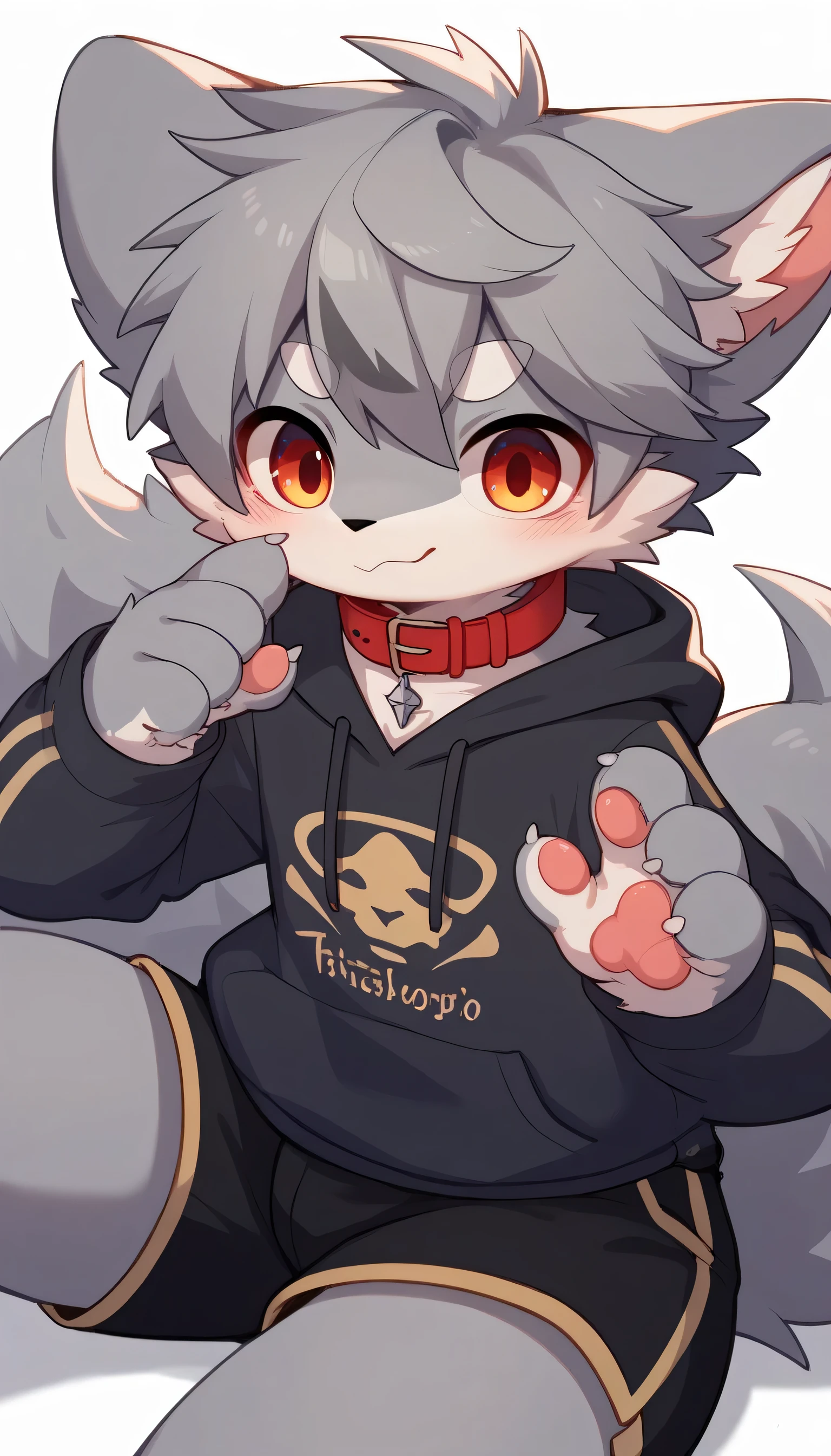 in great detail having fun in great detail,gray hair and gray fur , gray wolf , shemono,Age 15,Participation, red collar on the floor, cute face, fluffy fur ,The three cute furries dance !Horny boy , white background , embarrassed face,cute grey fur fur , estrus, droopy ears, alone, black shorts , sweatshirt , Long Sleeve ,trend,