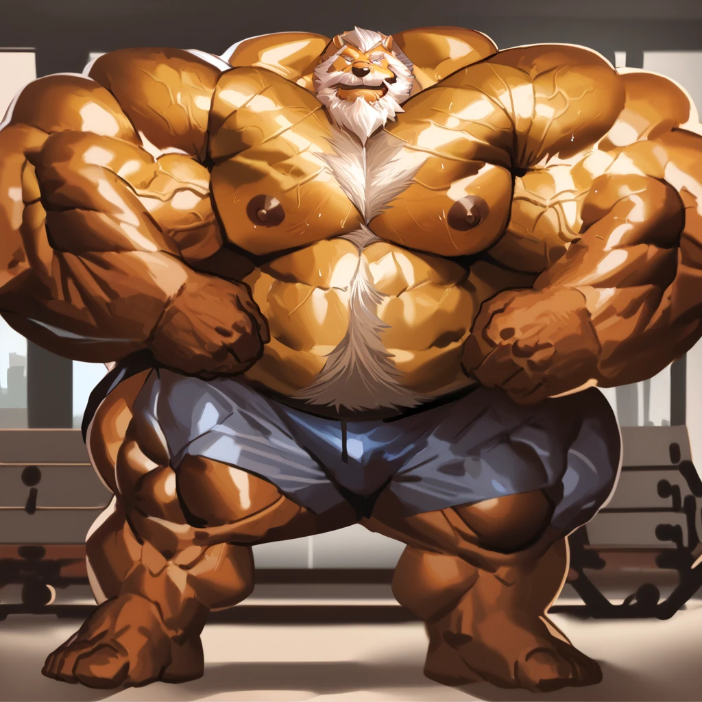 solo, 1boy, Huge Muscular Old Grizzly Bear wearing glasses, correct anatomy, steroid, pectoral, huge pectoral, wide pectoral, short white hair, black competitive briefs, speedo, bearded, Mustache, bodybuilding competition stafe background, masterpiece, high detailed, 8k, high resolution, at the stage, flexing off for the audience