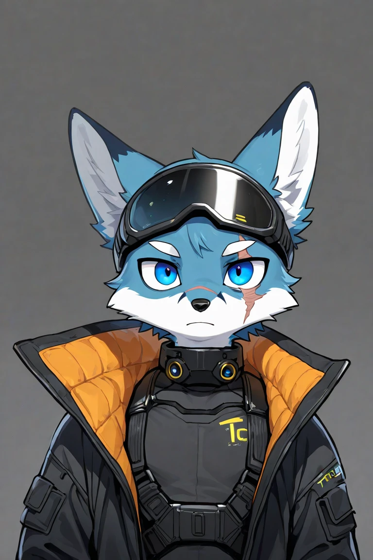 by slugbox, by pridark, solo, male,  <lora:Brewster-10:0.8> , brewster,  goggles, goggles on head, aviator cap, bottomless, blue hair, grey fur, latex crop top,  black latex, bomber jacket, orange jacket, open jacket,  small but hung, orange eyes, detailed eyes,