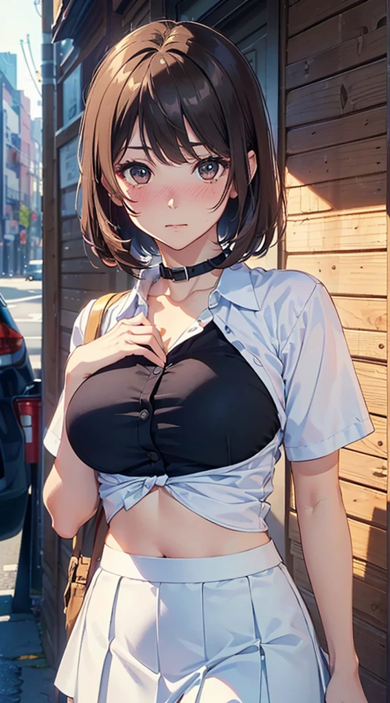 NSFW, masterpiece, highest quality,
very delicate and beautiful, finely,
official art, super detailed, very detailed,
break
1 girl, Trying to take off your shirt, cute face, beautiful face, 15, black eye, black short hair, bob cut, dull bangs, round collar white shirt, white bra, navy blue skirt, long skirt, white socks, Indoor shoes,
sad, embarrassing, cowboy shot,
School rooftop, chain-link fence, fence, Mountain, School, Vision,