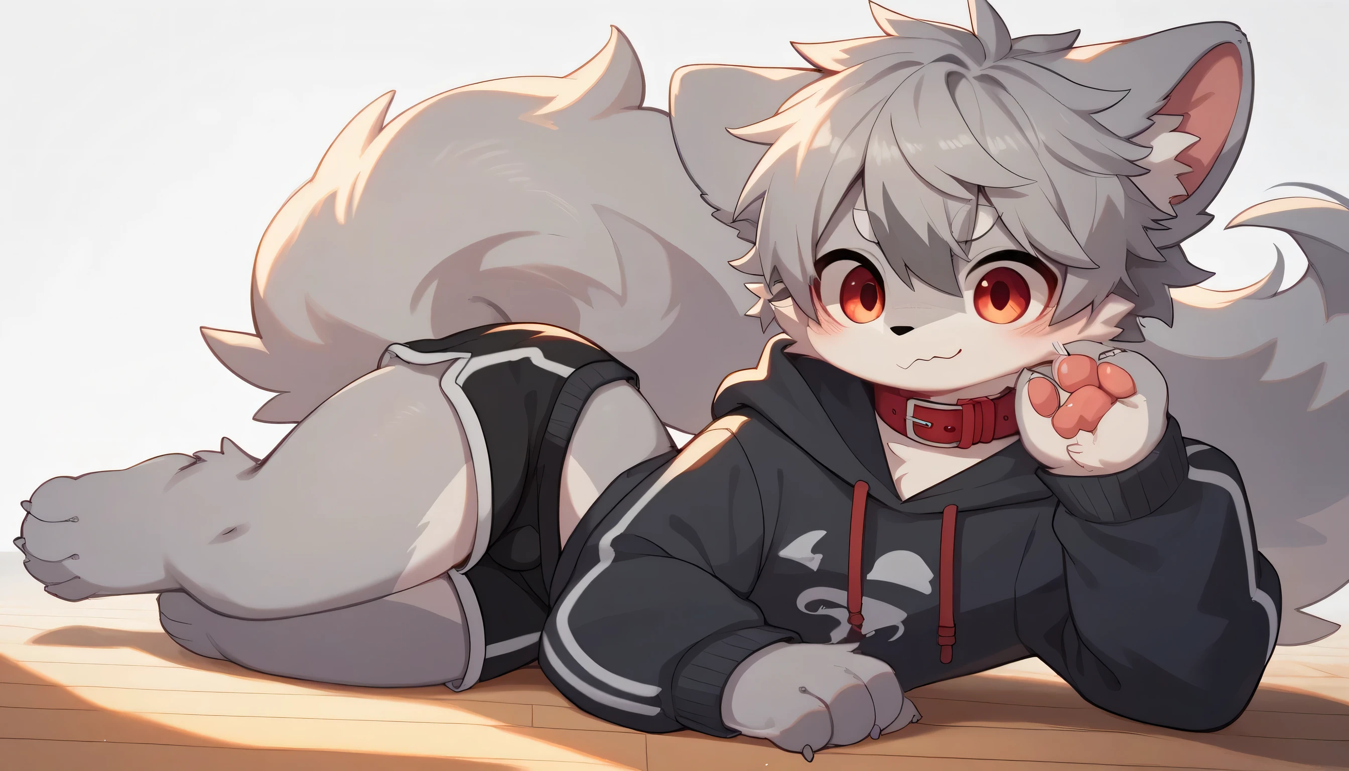 very detailed having fun in great detail,gray hair and gray fur , gray wolf , shemono,Grey Hair,,Participation, red collar on the floor, cute face, fluffy fur , one cute furry dances !Horny boy , white background, embarrassed face, cute gray fur , estrus, droopy ears, alone, black shorts , sweatshirt , Long Sleeve ,trend,