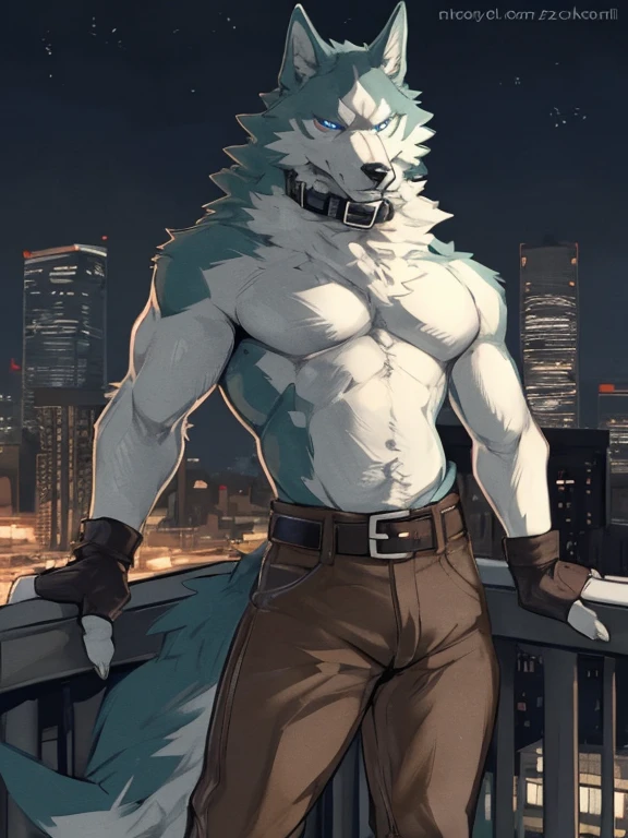 male, muscular,Wolf,only,Topless,Wearing light blue jeans,Background is the beach,Big muscles,sit on the chair,high quality,High Detail,8k,full white,Light blue pupils,White hair